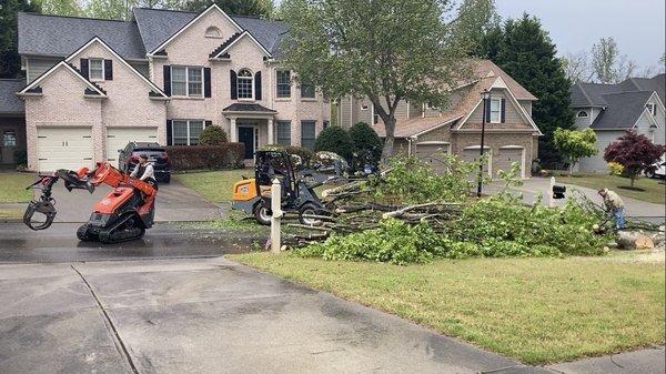 Southern Classic Tree Experts