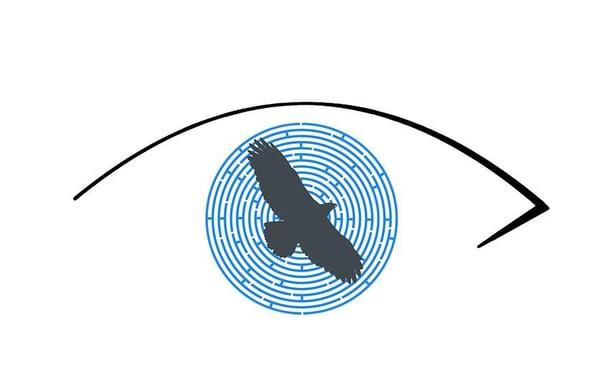 Eagle Eye Vision Care