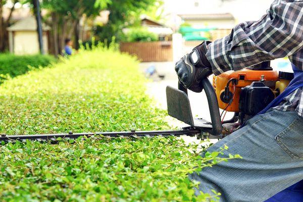 JB Tree Service & Removal by Branching Out