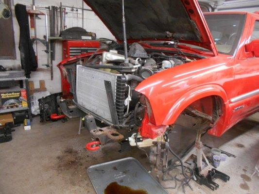 Brunette Tom Body Shop