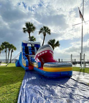 Celebration Party Rental