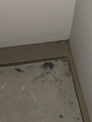 VW Quality Maintenance & Janitorial