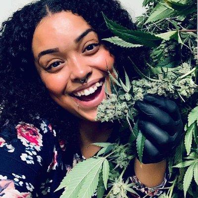 Green house mega store