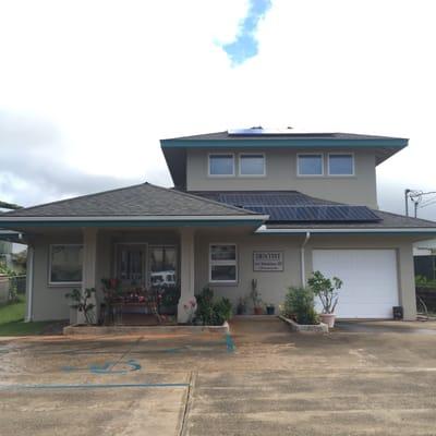 Shimabukuro Scott S DDS