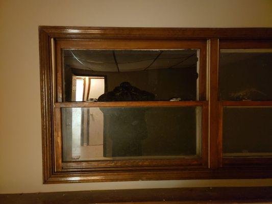 Randy & Company Home and Lawn Improvement