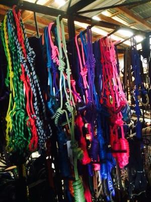 Plenty of leads. }|{