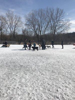 Flying Cloud Dog Park