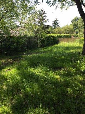 Father and Son Handyman Services