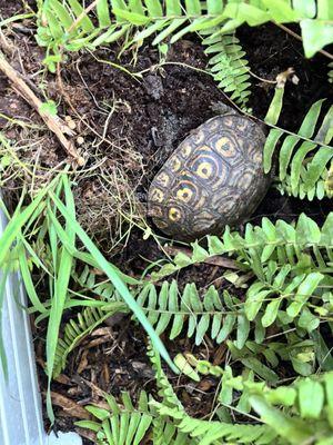 Fish-N-Pets Unlimited