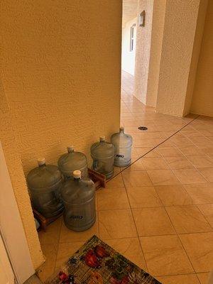 Crystal Springs Water