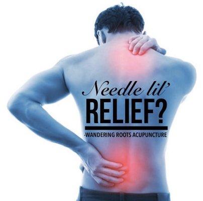 Wandering Roots Acupuncture