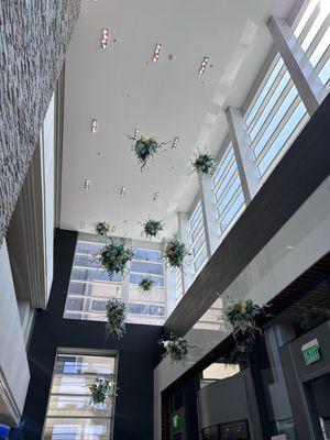 St Elizabeth Healthcare