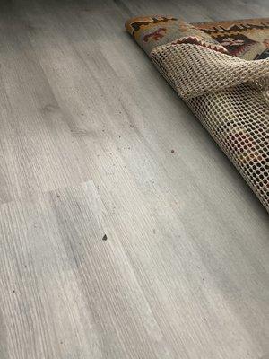 This is after a cleaning