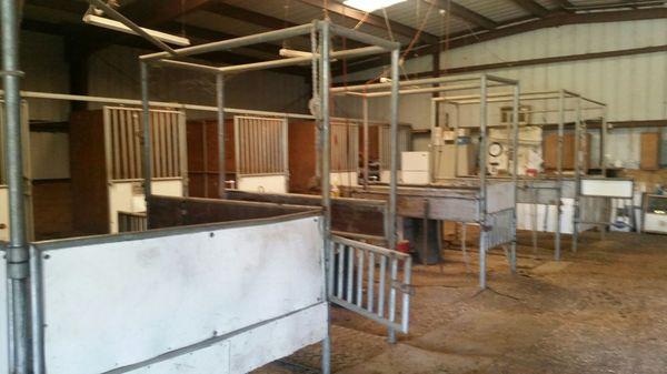 Breeding shed where stallion and mare mates