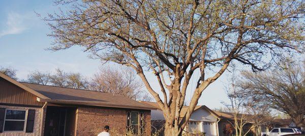 Get It Dunn Tree Service and Landscaping