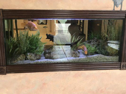 Radiant Dental Care Pasadena