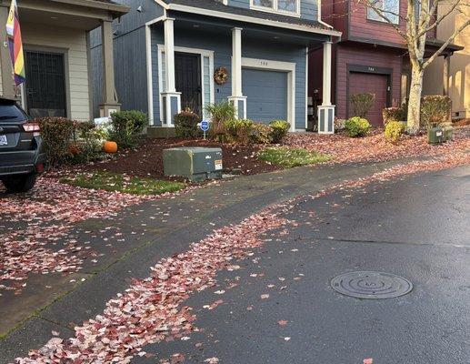 Showplace Landscape Services