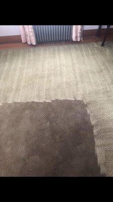 Carpet cleaning mid clean photo, the difference is amazing!