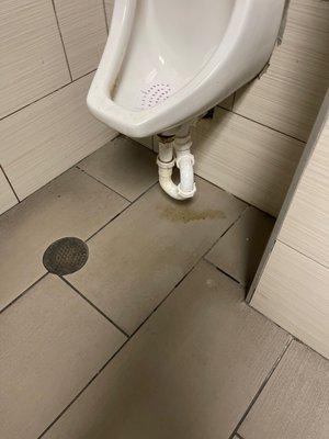 Urine all over the floor