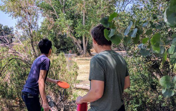 School of Disc Golf