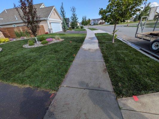Grass Guard Landscaping