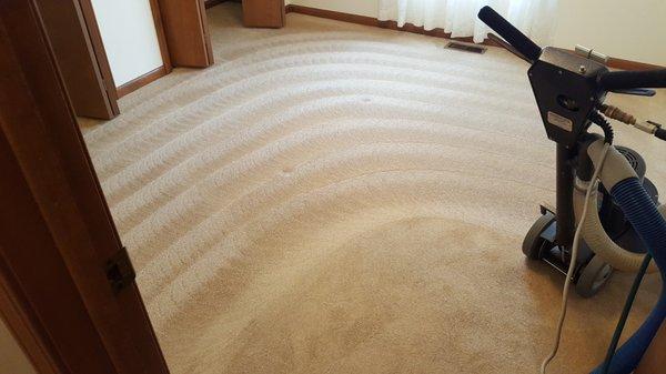 Tober's Supreme Clean