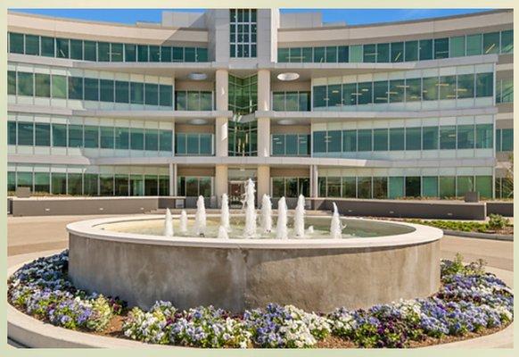 PortfolioIA -- Burton Hills