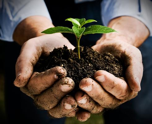 the One that get it Done!