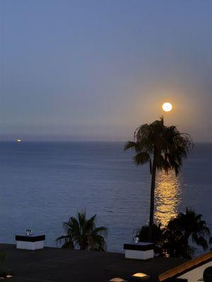 Tivoli Cove Homeowners Assn.