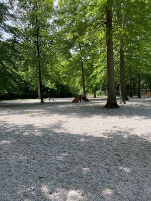 Lovely agility toys for the pups and plenty of benches for the people.