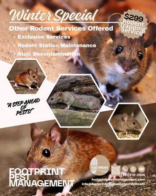 Empire Real Estate Management