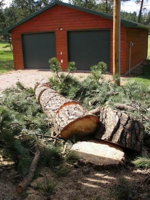 A Cut Above Tree Care and Removal