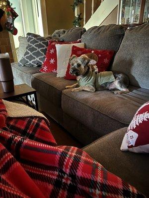 Memo, sporting his new do!