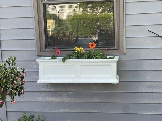 Rustic Handyman Services