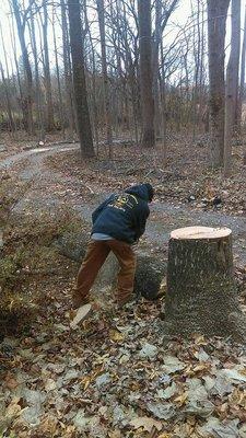 Doc's Tree & Landscaping Service