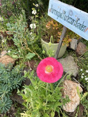 Hummingbird Montessori Preschool