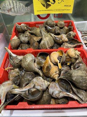 Viet Hoa Food Market