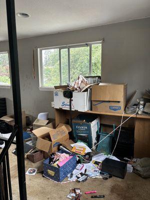 Rocha’s Reliable Removal