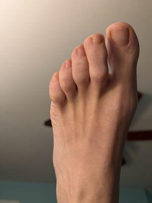 Perfectly trim nails feet and legs loved on. I'm going to get pictures or short video of their service to post