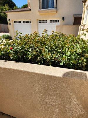 Dan's Landscaping Company