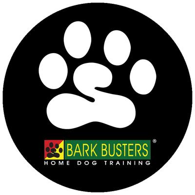 Bark Busters Home Dog Training Northern Colorado