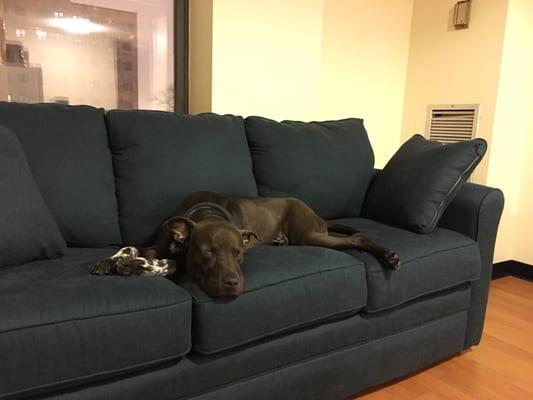 IMD Guest House Foundation