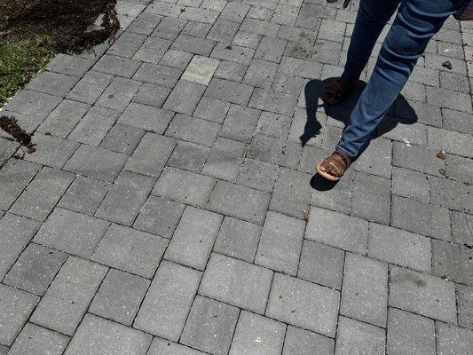 Towlando Towing & Recovery