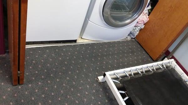 All West Carpet Care