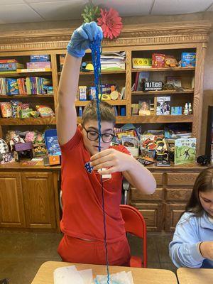 Professional Education Services