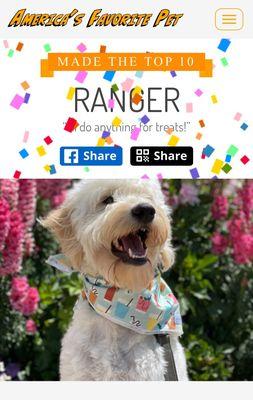 Pacifica Pet Hospital