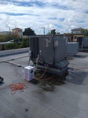 General Labor Solutions