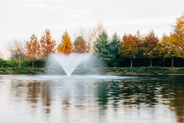 Our pond and fountain