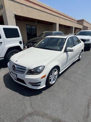 Smog Dog Palm Desert