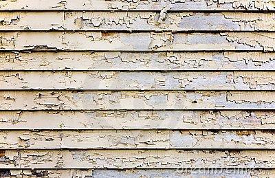 Accutest Lead Inspections